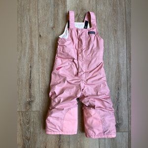 Patagonia 2t h2no snow bibs